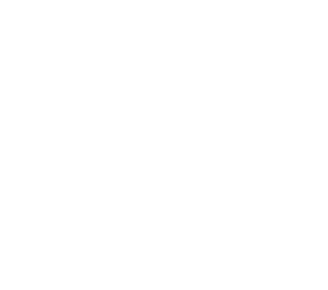 Logotipo branca - Santa Aldeia